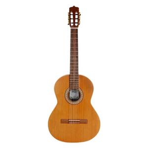 گیتار کلاسیک پارسی مدل P80