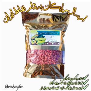 بادام زمینی تبرک مغان  درجه یک ( سایز درشت ) کم نمک و امسال 1.5 کیلویی ( برشته )