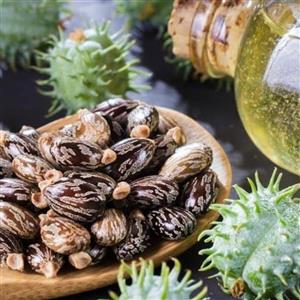 روغن کرچک خوراکی کیمیا دارو سپهر 40 گرم