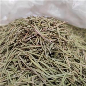 رزماری تازه و درجه یک بسته 250 گرمی 