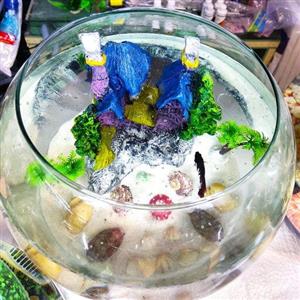 تنگ بلور شیشه ای قطر 29 سانت به همراه ماهی غذای 