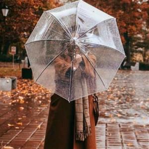 چتر شیشه ای بارانی