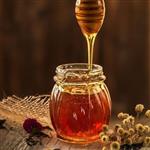 عسل بهارنارنج طبیعی مستقیم از زنبوردار(گاه ریحانه مارکت 24 )