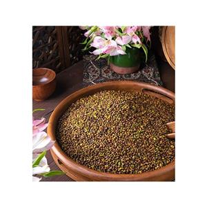 مغز پسته کوهی بنه