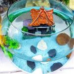 تنگ بلور شیشه ای قطر 26 سانت به همراه ماهی و غذای ماهی