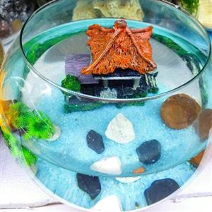 تنگ بلور شیشه ای قطر 26 سانت به همراه ماهی غذای 