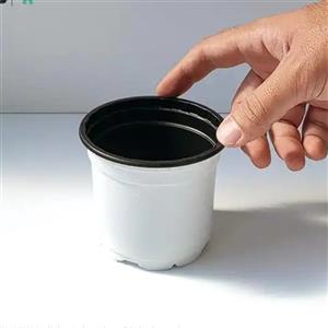 گلدان پلاستیکی ژله ای سایز 10 سفید مجموعه 200 عددی