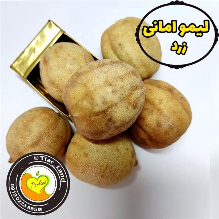 لیمو امانی زرد