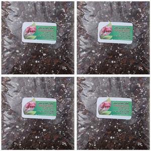 خاک ارکیده پردیسان حجم 3 لیتر مجموعه 4 عددی