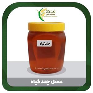 عسل روزانه طبیعی یک کیلویی با ضمانت کیفیت و مرجوعی (جشنواره فروش ویژه)