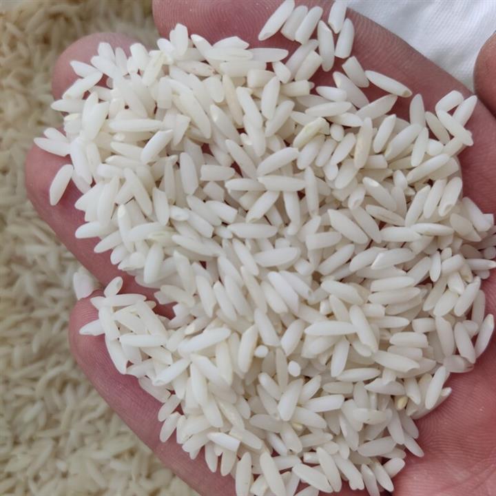 برنج علی کاظمی فله ای