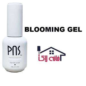 بلومینگ ژل ناخن پی ان اس Pns