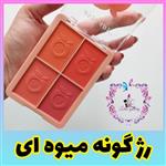 پالت رژگونه  آنی لیدی