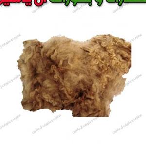 پشم شتر (1000گرم)