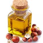 روغن فندق آرکا