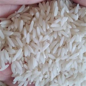 برنج  طارم هاشمی  عطری  درجه یک فر یدونکنار (10) کیلوی ارسال ریگان
