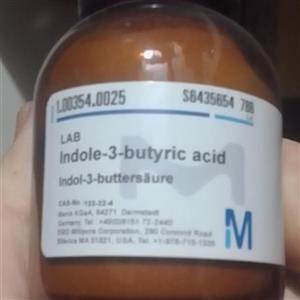 هورمون ریشه زای ایندول بوتریک اسید مرک آلمان اصلی 25 گرمی با خلوص  99.99