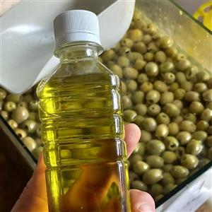 روغن زیتون بکر اصل رودبار