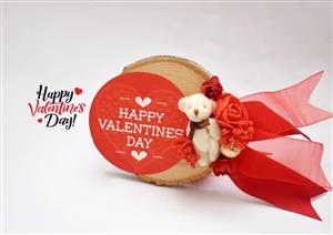 گیفت ولنتاین(تنه چوبی با عروسک خرسC)