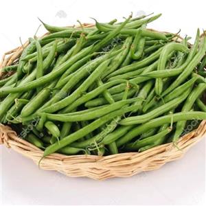 لوبیا سبز کشت کالا 