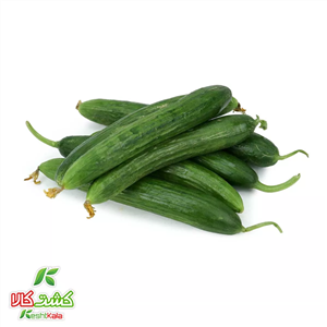 خیار گلخانه ای کشت کالا کیسه ای 3 کیلوگرمی