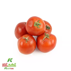 گوجه فرنگی کشت کالا کیسه ای 3 کیلوگرمی