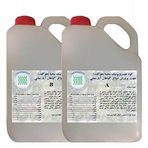 ست کود هیدروپونیک مایع هوگلند حجم 2 لیتری