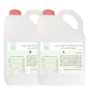 ست کود هیدروپونیک مایع کاهو و سبزیجات برگی محنا حجم 2 لیتری
