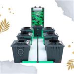 سیستم هیدروپونیک RWDC آلین هیدروپونیک بلک 6 سطله 20 لیتری | Alien Hydroponics RDWC Black 6 Pot 20 Litre