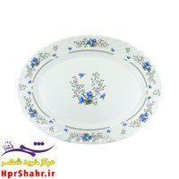 دیس بیضی بزرگ آرکوپال پارس اوپال ( 10001010012 )