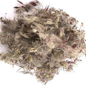 دم نوش چای کوهی(100 گرمی)