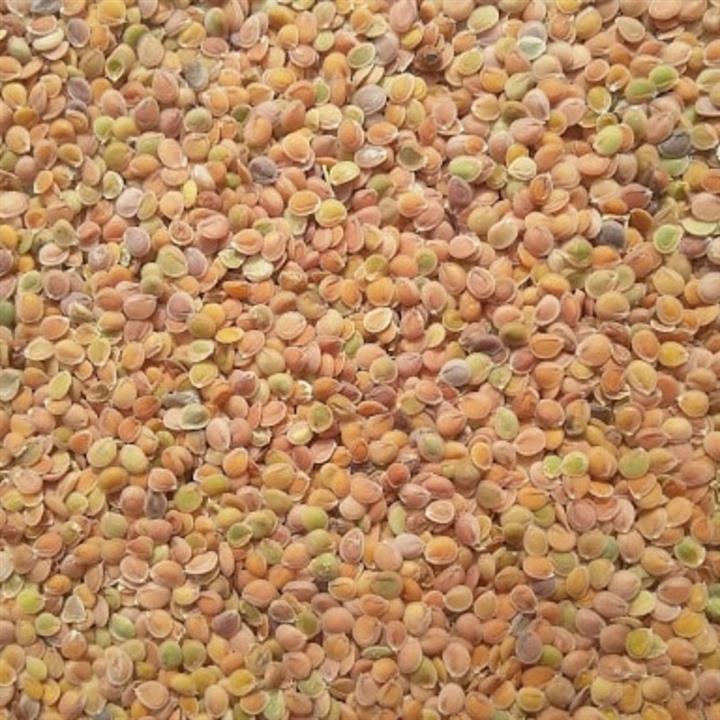 قدومه شیرازی فله ای