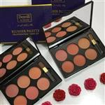 پالت رژ گونه 6 رنگ دایسل Daycell Blush