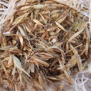 جو دوسر اصلی (10کیلویی)