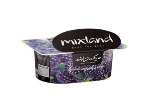 مربا تمشک میکس لند مقدار 225 گرم Mixland Raspberry Jam 225gr 