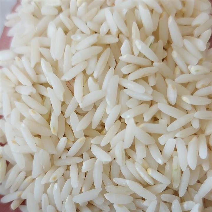 برنج علی کاظمی فله ای