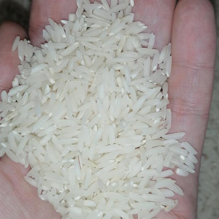برنج علی کاظمی فله ای