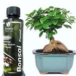 کود  بنسای 125  سی سی پروتکت نیچر-Bonsai Fertilizer