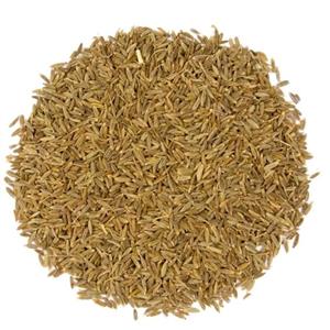 زیره سبز درجه یک 