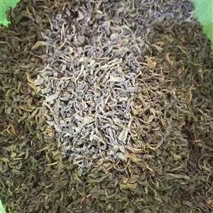 چای سبز قلم بدون چوب ایرانی کیسه 10 کیلویی