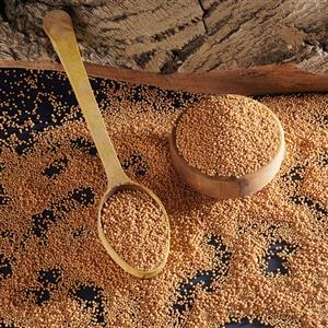 دانه خردل 100 گرمی