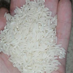 برنج هاشمی  خوش عطر و خوش پخت آستانه اشرفیه 10 کیلویی