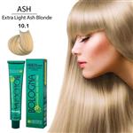 رنگ مو بدون آمونیاک و بدون پی پی دی بلونیا 100میل Extra Light Ash Blonde 10.1