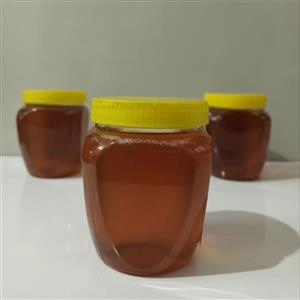 عسل گون شیرار 3 درصد - یک کیلوگرمی - فقط قم