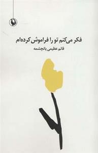 فکر می کنم تو را فراموش کرده ام (مجموعه شعر سپید)