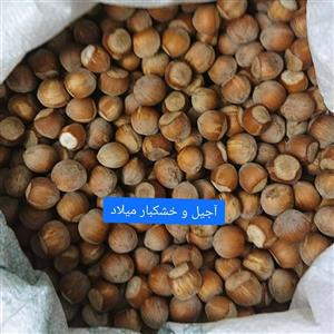 فندق درشت و درجه یک وشنوه (250 گرمی)