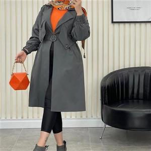 بارونی میکرو شاهان