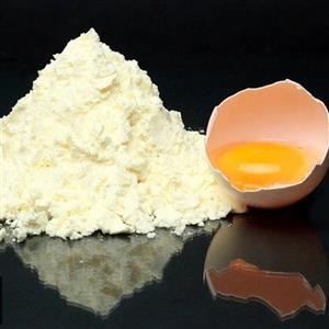 پودر سفید تخم مرغ درجه 1