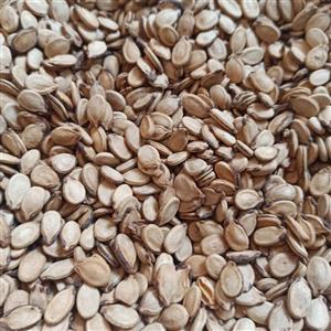 تخمه هندوانه ترد و اعلا\nبسته های 500گرمی