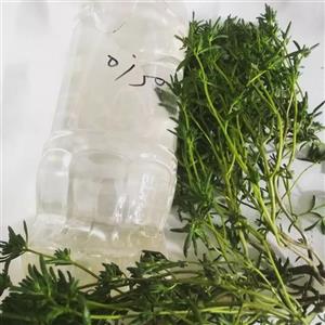 عرق مرزه ( دافع سنگ کلیه )  وزن 1000 گرم